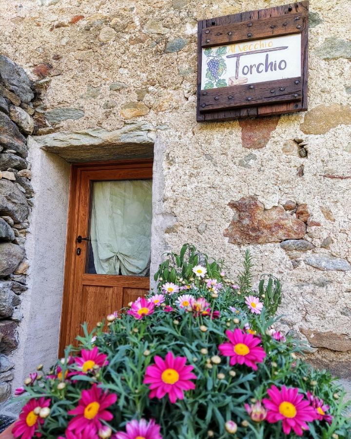 B&B Al Vecchio Torchio Settimo Vittone Eksteriør bilde